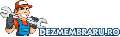 Dezmembraru