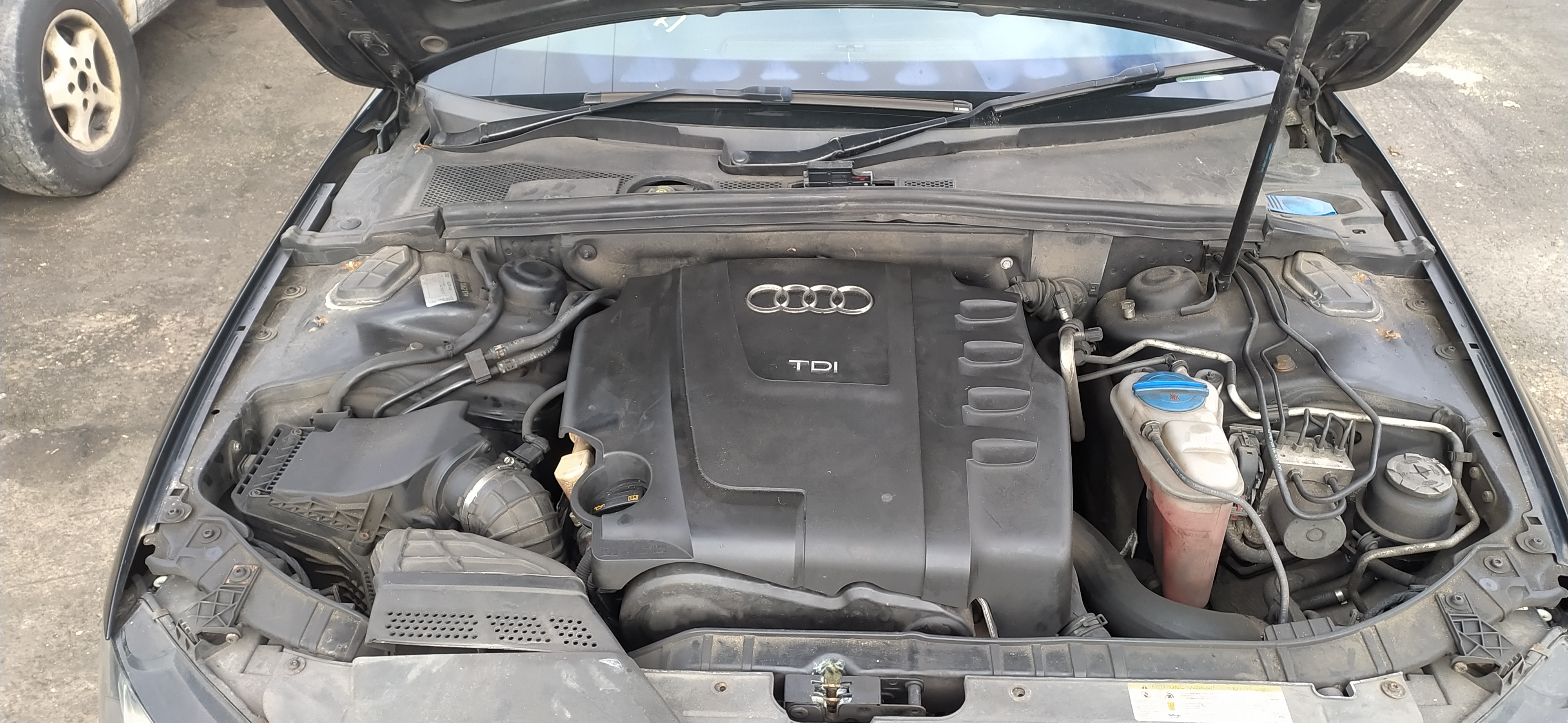 AUDI A4 (8K2, B8) [Fabr 2008-2015]